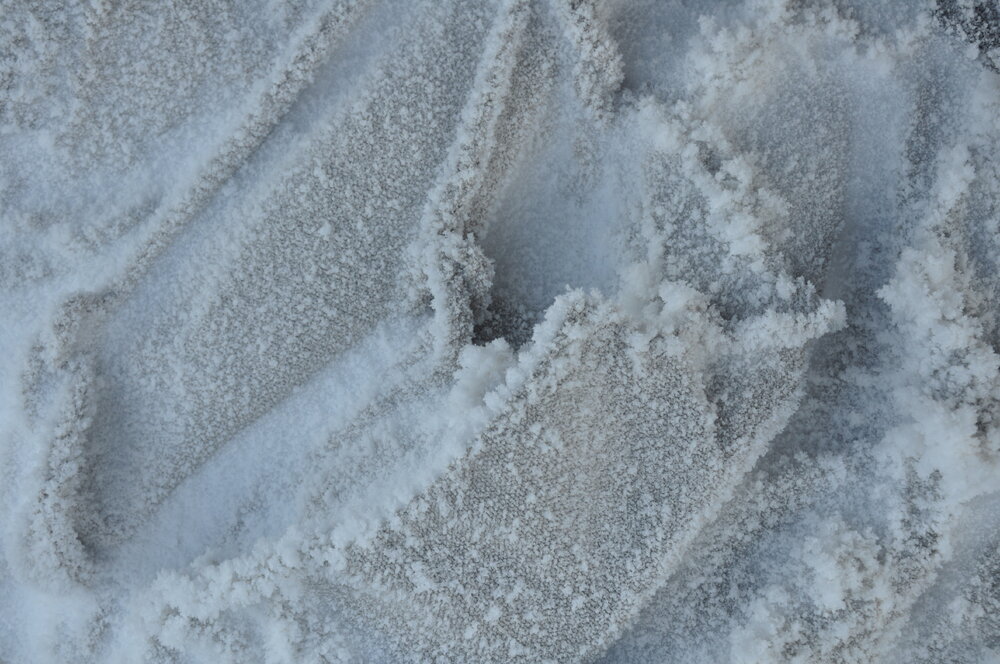 2013-14 Detail of awning outside Scott's 'Discovery' hut, Hut Point (002)