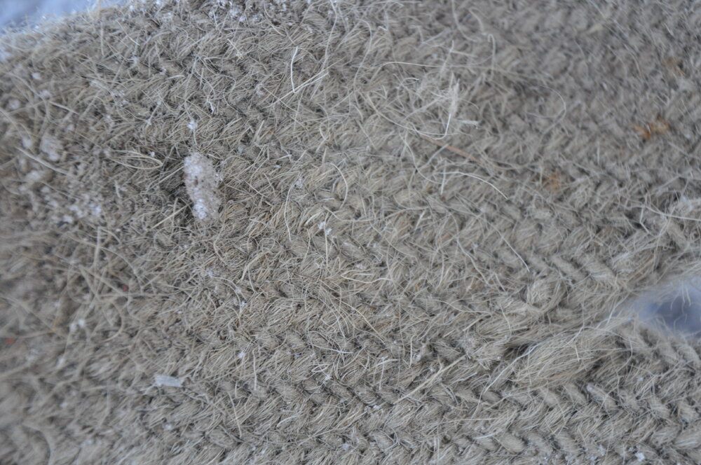 2013-14 Detail of awning outside Scott's 'Discovery' hut, Hut Point (013)