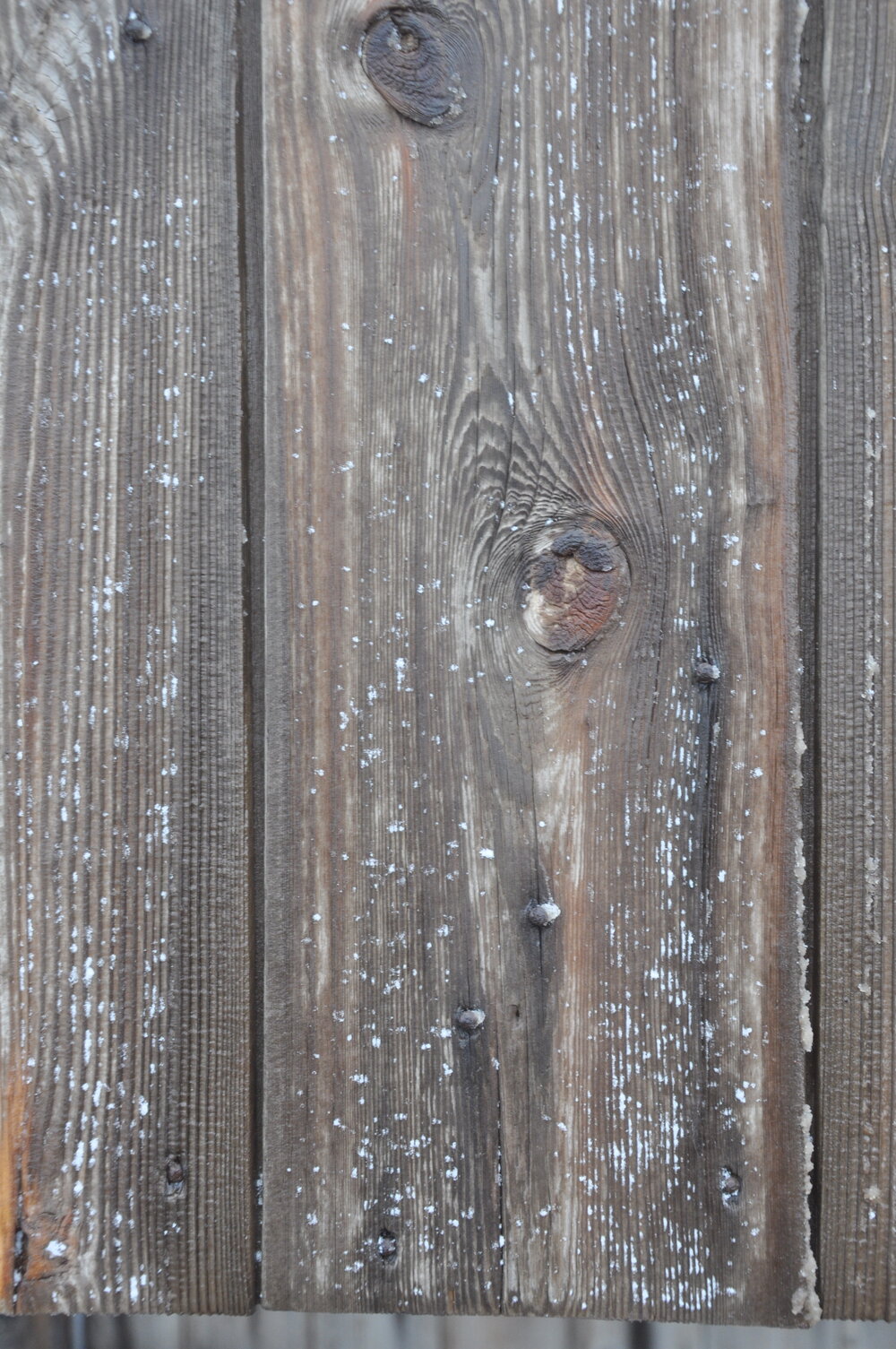 2013-14 Detail of cladding outside Scott's 'Discovery' hut, Hut Point