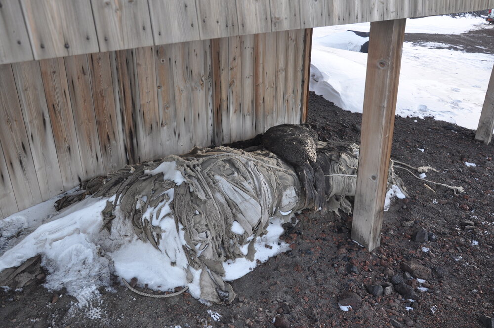 2013-14 Awning outside Scott's 'Discovery' hut, Hut Point (008)