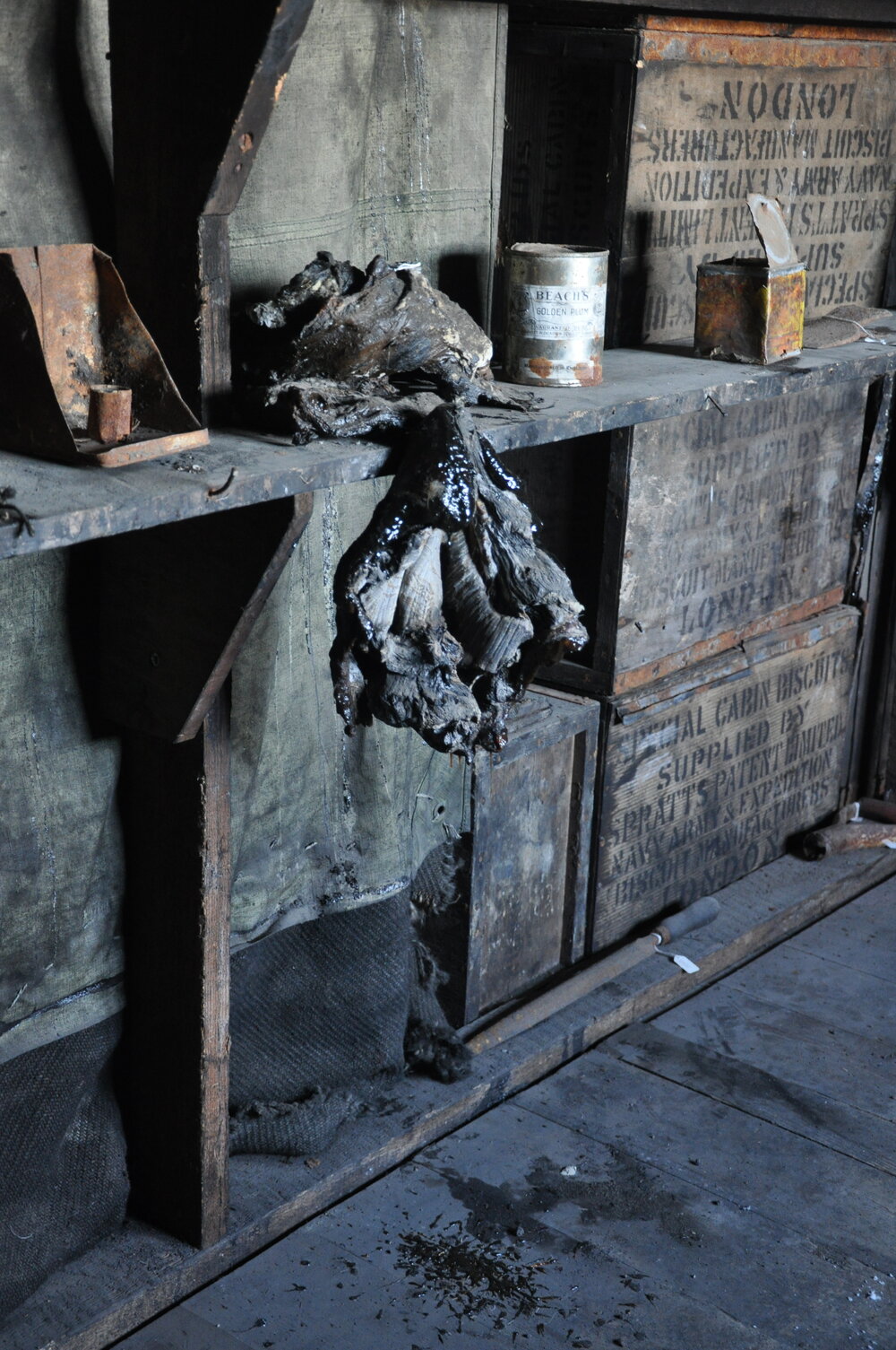 2013-14 Artefacts on shelves inside Scott's 'Discovery' hut, Hut Point