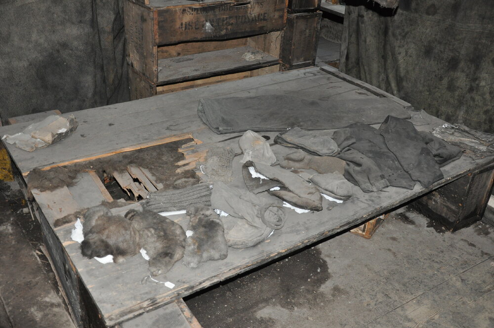 2013-14 Sleeping platform inside Scott's 'Discovery' hut, Hut Point