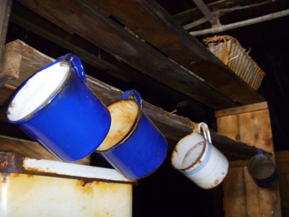 2010-11 Enamel mugs hanging inside Scott's 'Terra Nova' hut
