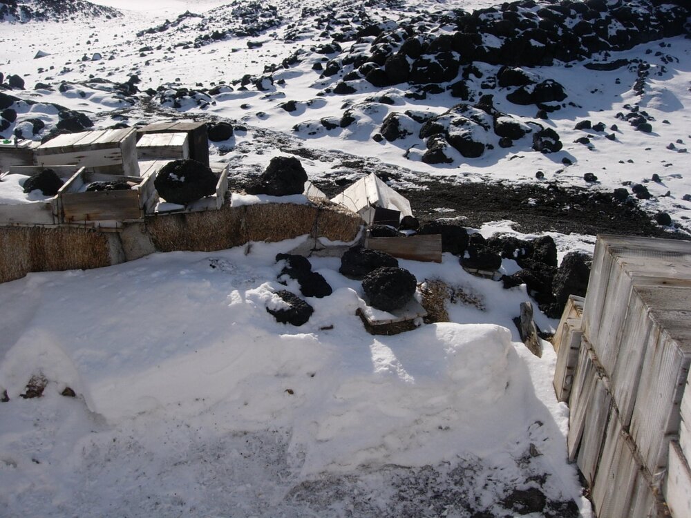 Garage on north side of Shackleton's 'Nimrod' hut (009)