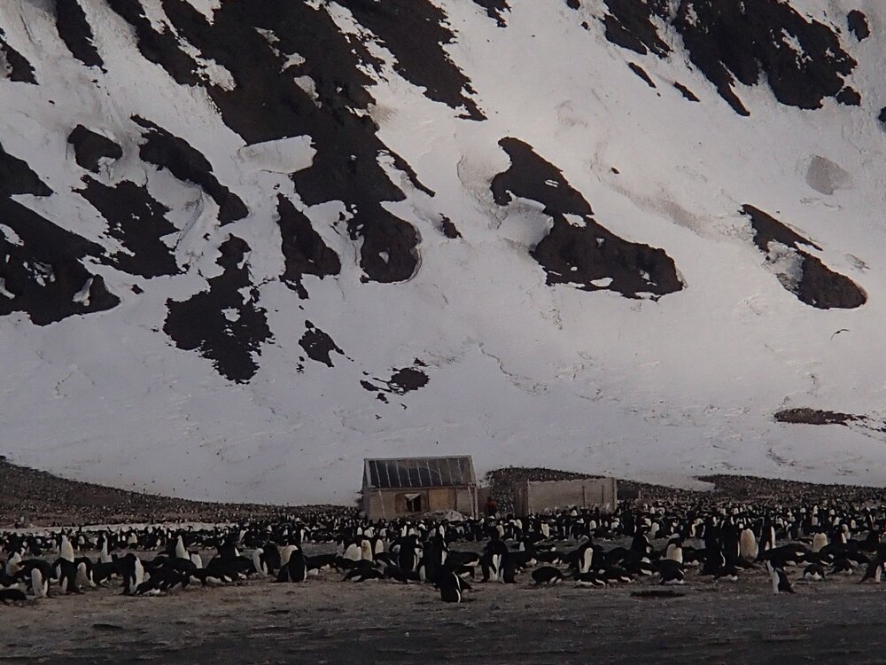 2015-16 The Cape Adare huts and penguin colony (001)