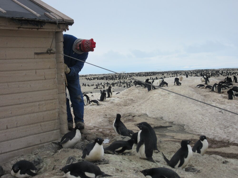 2015-16 Torbj&Atilde;&cedil;ern Prytz working on exterior of hut (001)