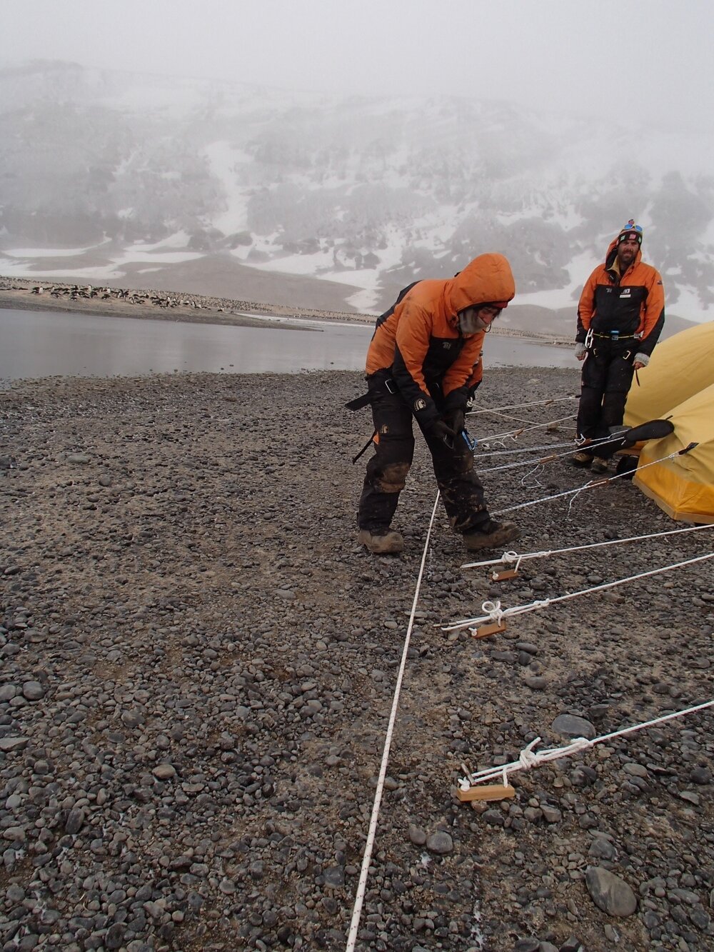 2015-16 Drew Coleman teaching blizz-line use