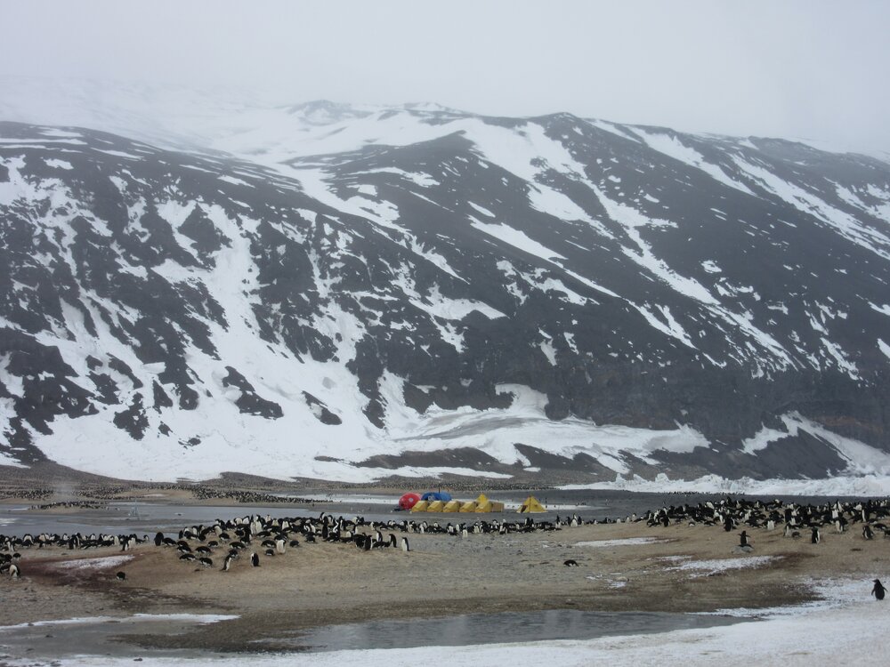 2015-16 Cape Adare scene (003)