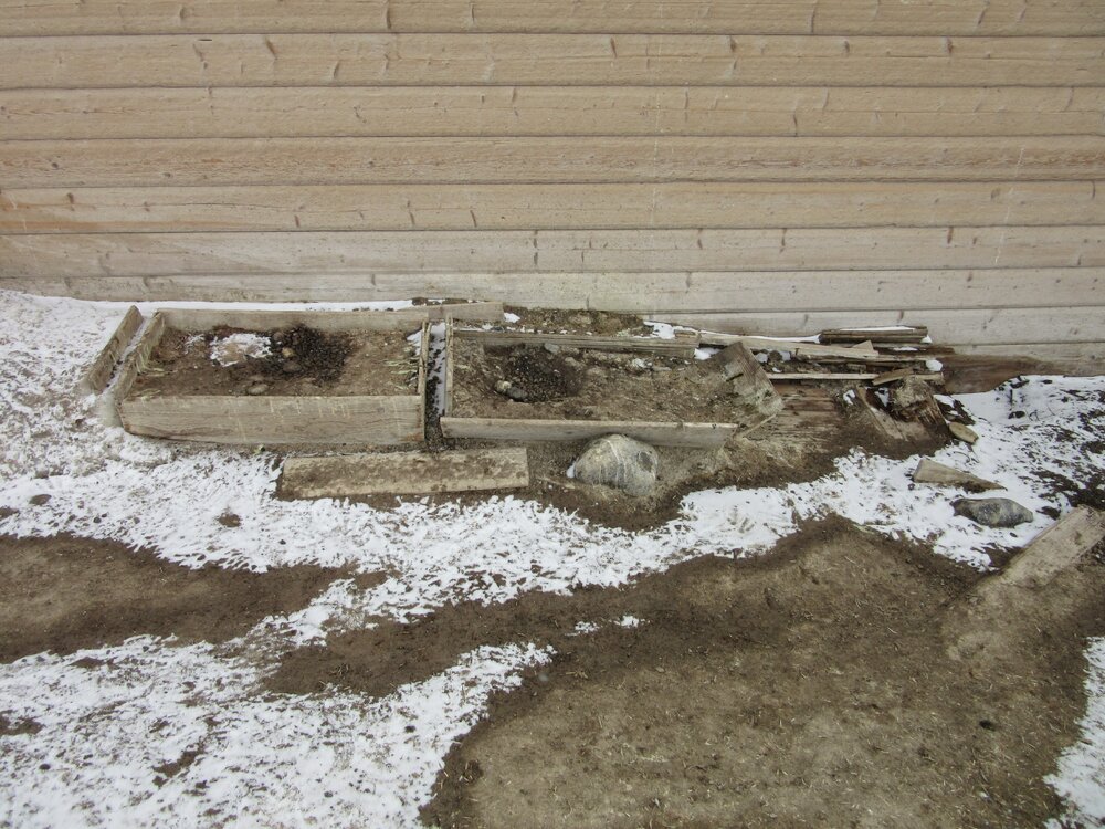 2015-16 External artefacts at Cape Adare (003)