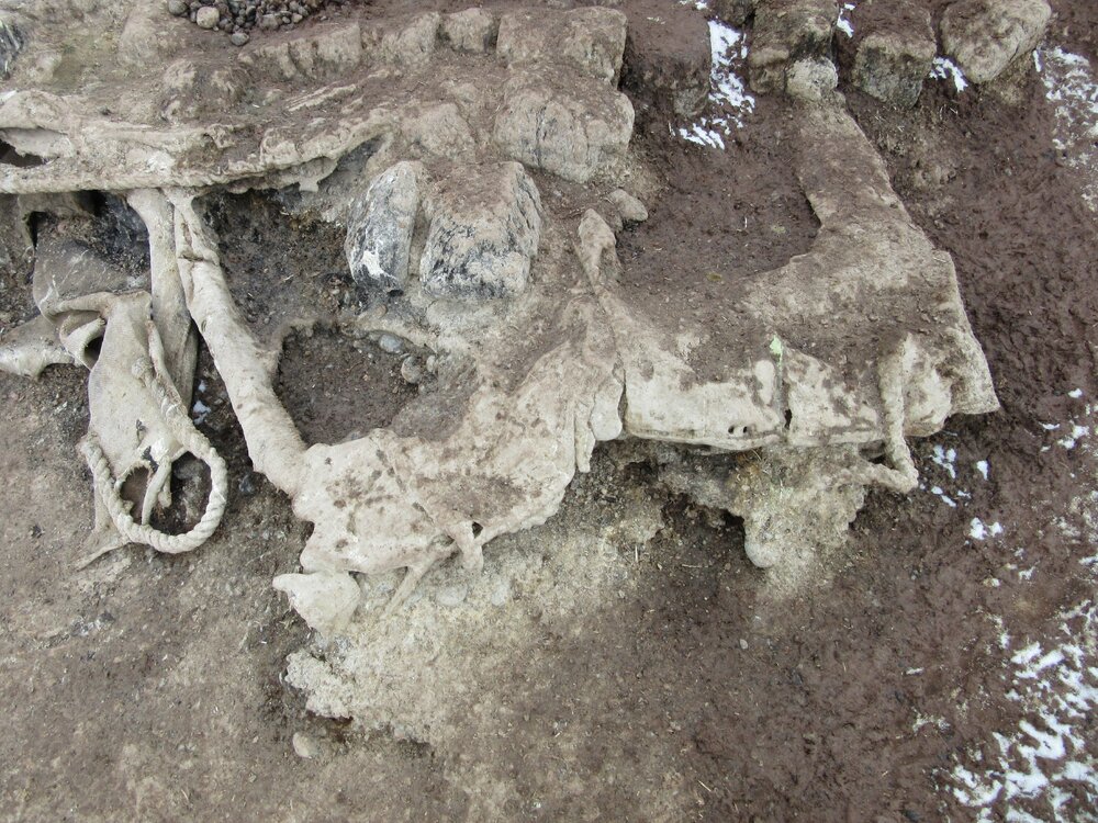 2015-16 External artefacts at Cape Adare (016)