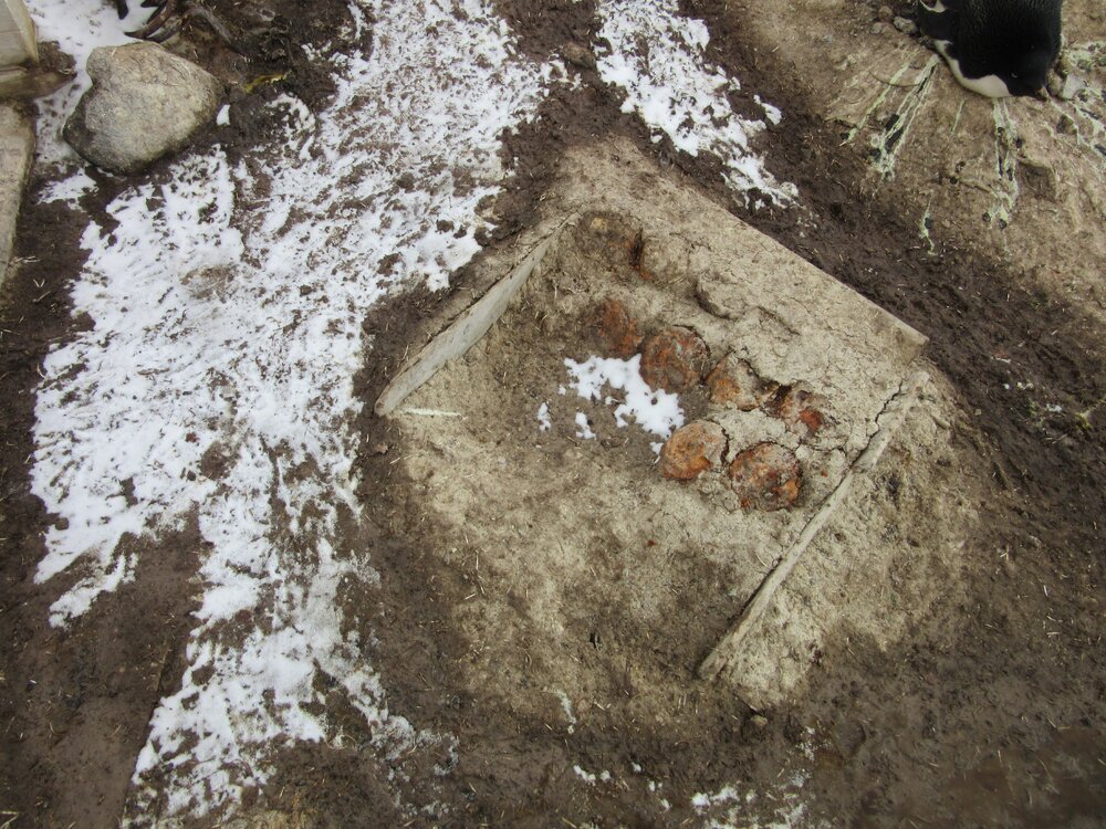 2015-16 External artefacts at Cape Adare (022)
