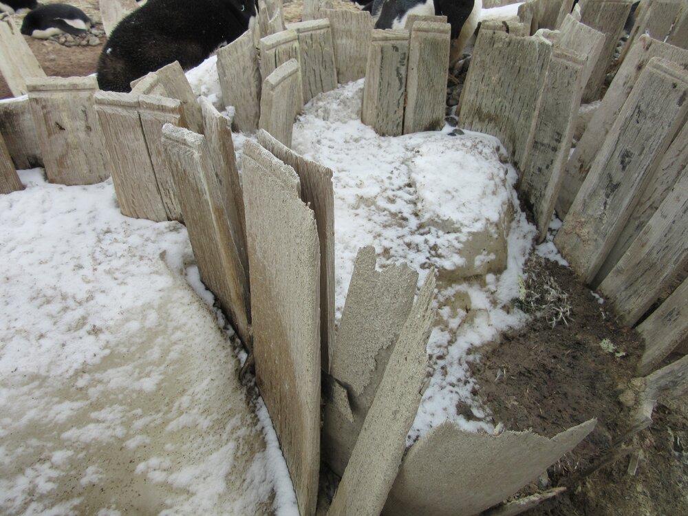 2015-16 External artefacts at Cape Adare (038)