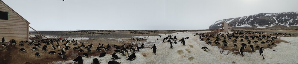 2015-16 Panoramic view, Cape Adare