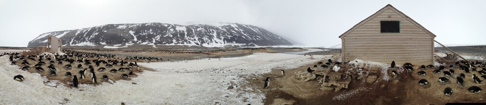2015-16 Panoramic view, Cape Adare (001)