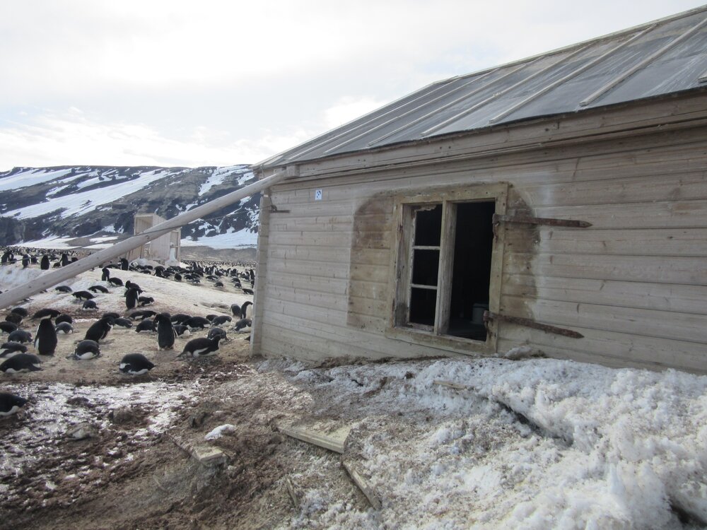 2015-16 West aspect, Borchgrevink's hut