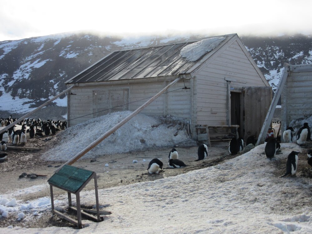 2015-16 inspection, Borchgrevink's hut, exterior 