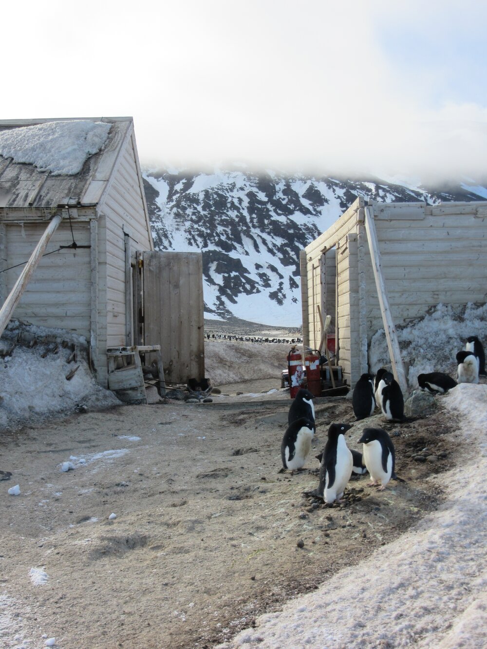 2015-16 inspection, Borchgrevink's hut, exterior (002)