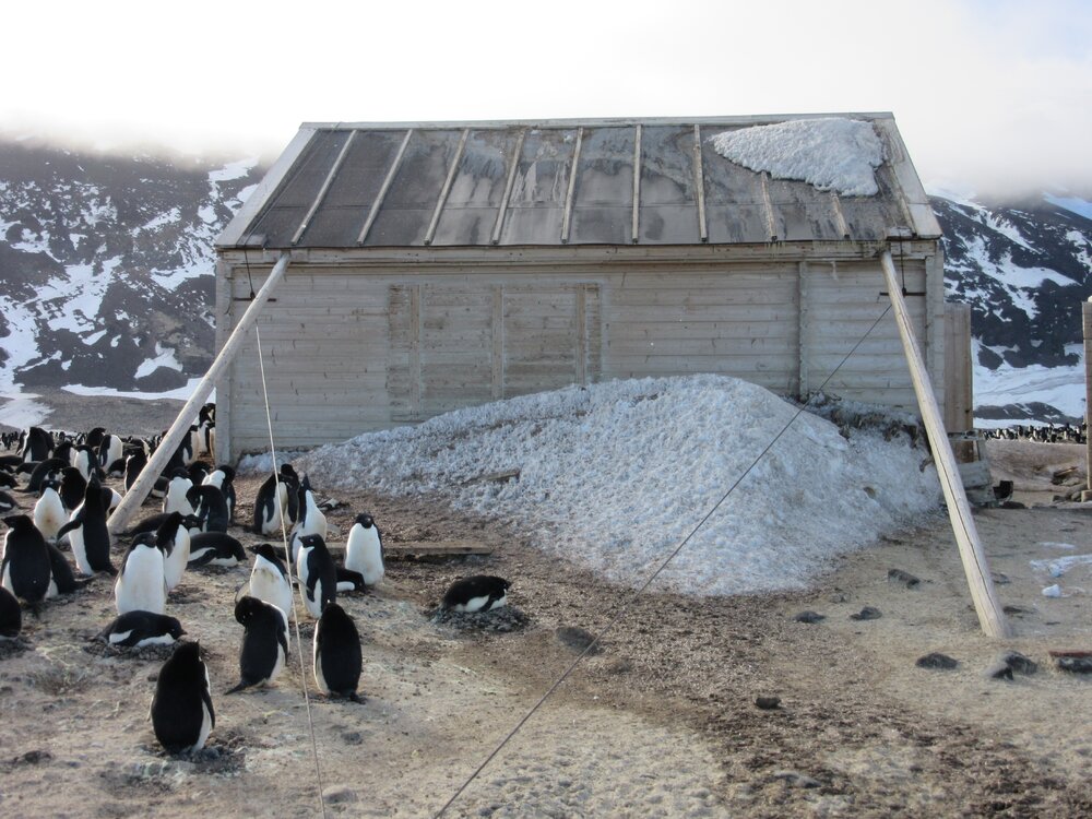 2015-16 inspection, Borchgrevink's hut, exterior (003)