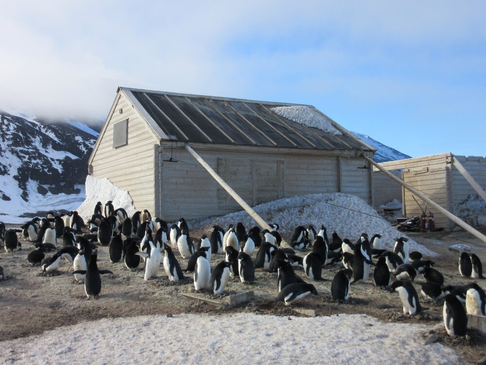 2015-16 inspection, Borchgrevink's hut, exterior (004)