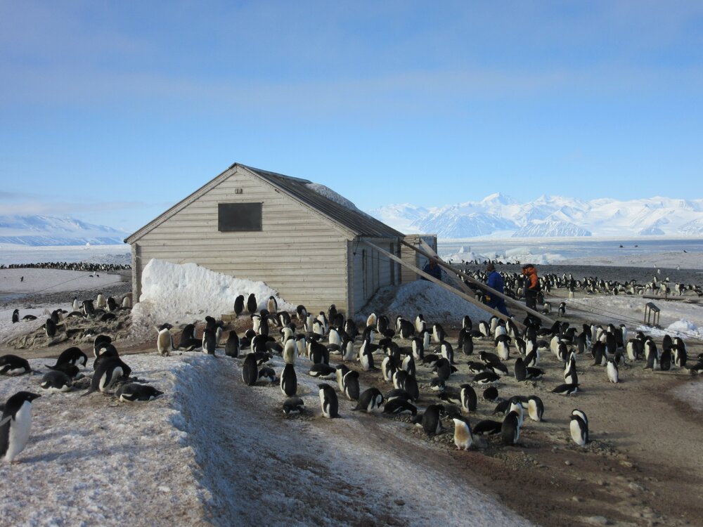 2015-16 inspection, Borchgrevink's hut, exterior (006)