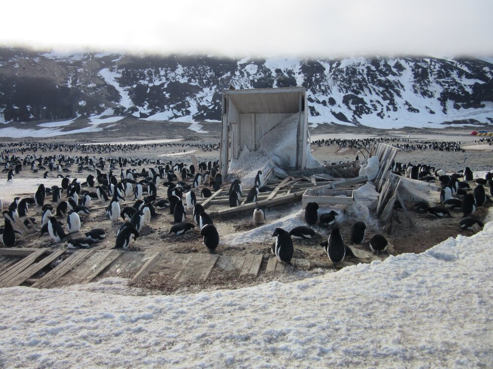 2015-16 inspection, Scott's Northern Party hut, exterior 