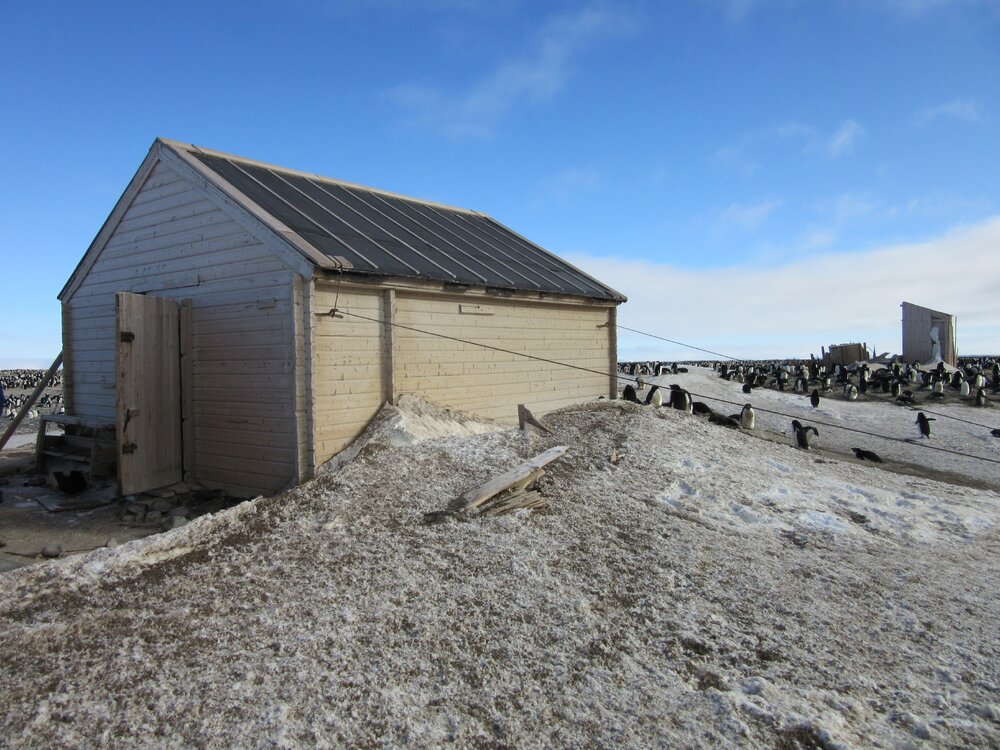 2015-16 inspection, Borchgrevink's hut, exterior (007)