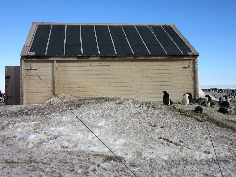 2015-16 inspection, Borchgrevink's hut, exterior (008)