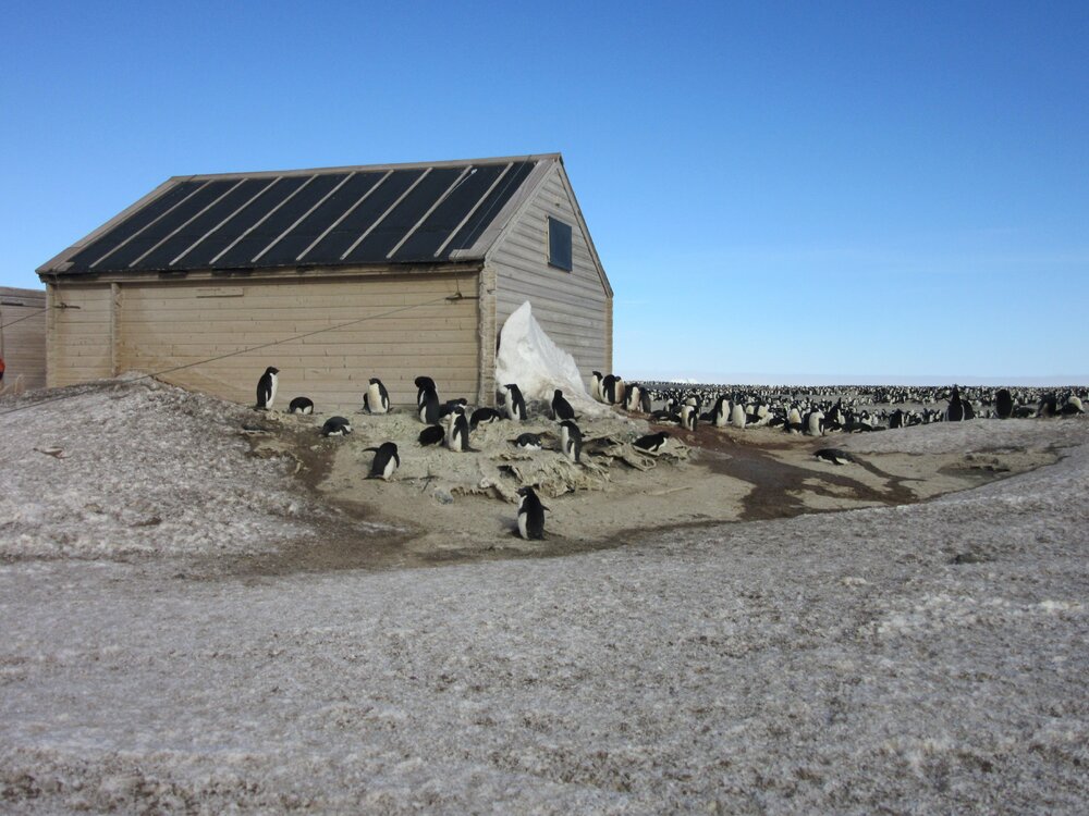2015-16 inspection, Borchgrevink's hut, exterior (010)