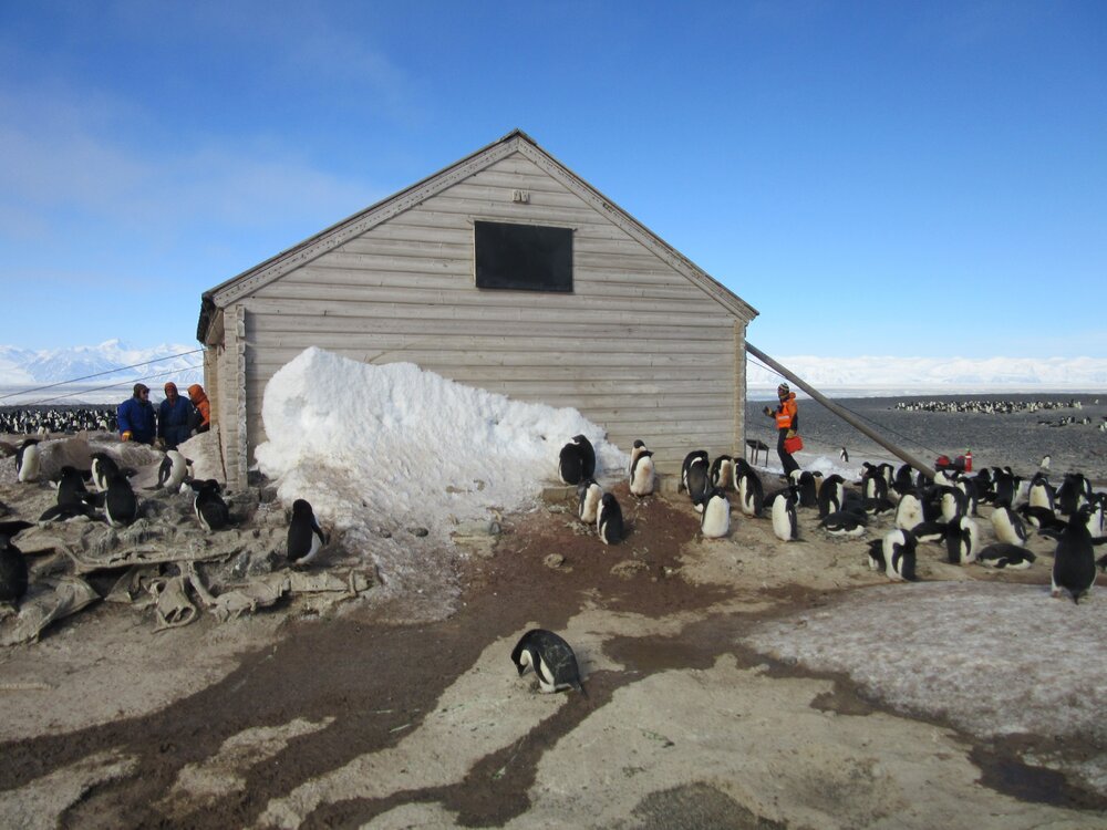2015-16 inspection, Borchgrevink's hut, exterior (011)