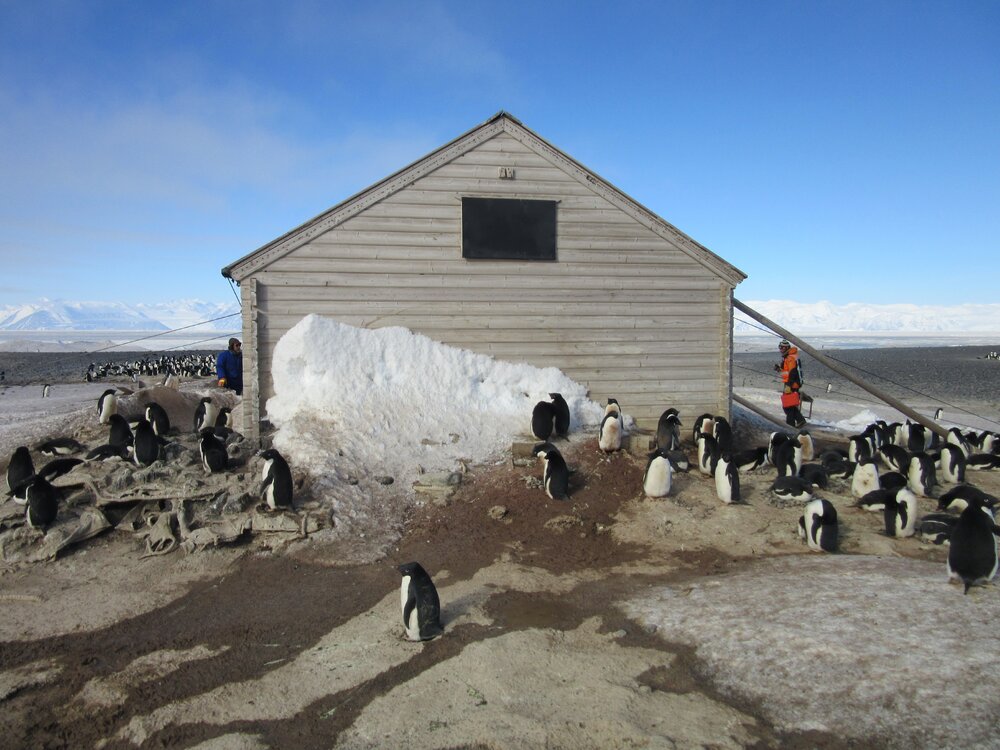 2015-16 inspection, Borchgrevink's hut, exterior (012)