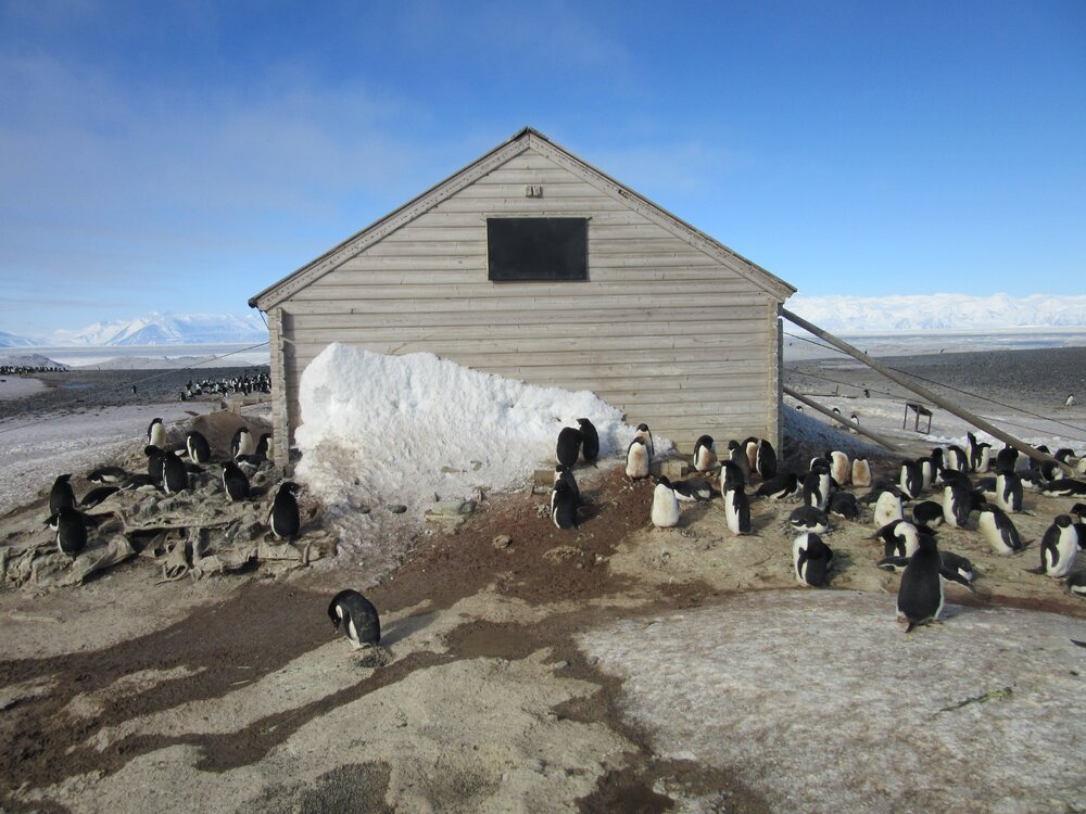 2015-16 inspection, Borchgrevink's hut, exterior (013)