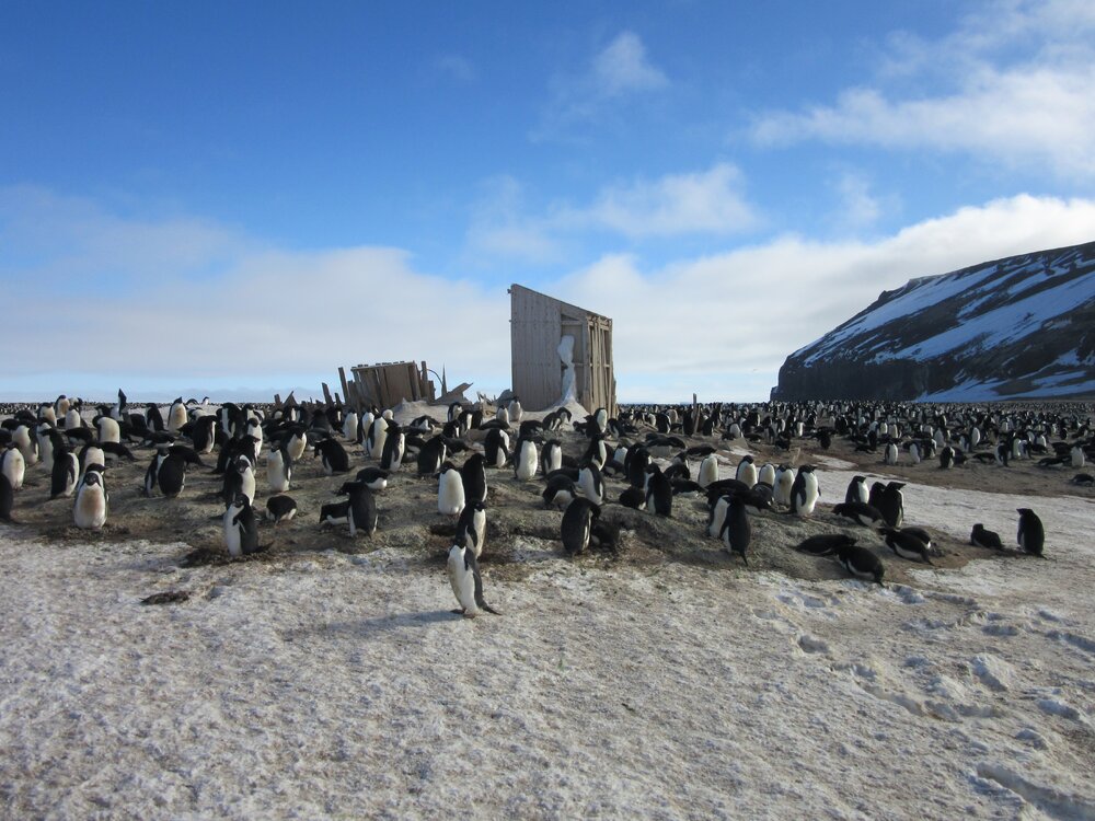 2015-16 inspection, Scott's Northern Party hut, exterior (001)
