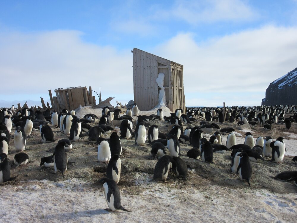 2015-16 inspection, Scott's Northern Party hut, exterior (002)