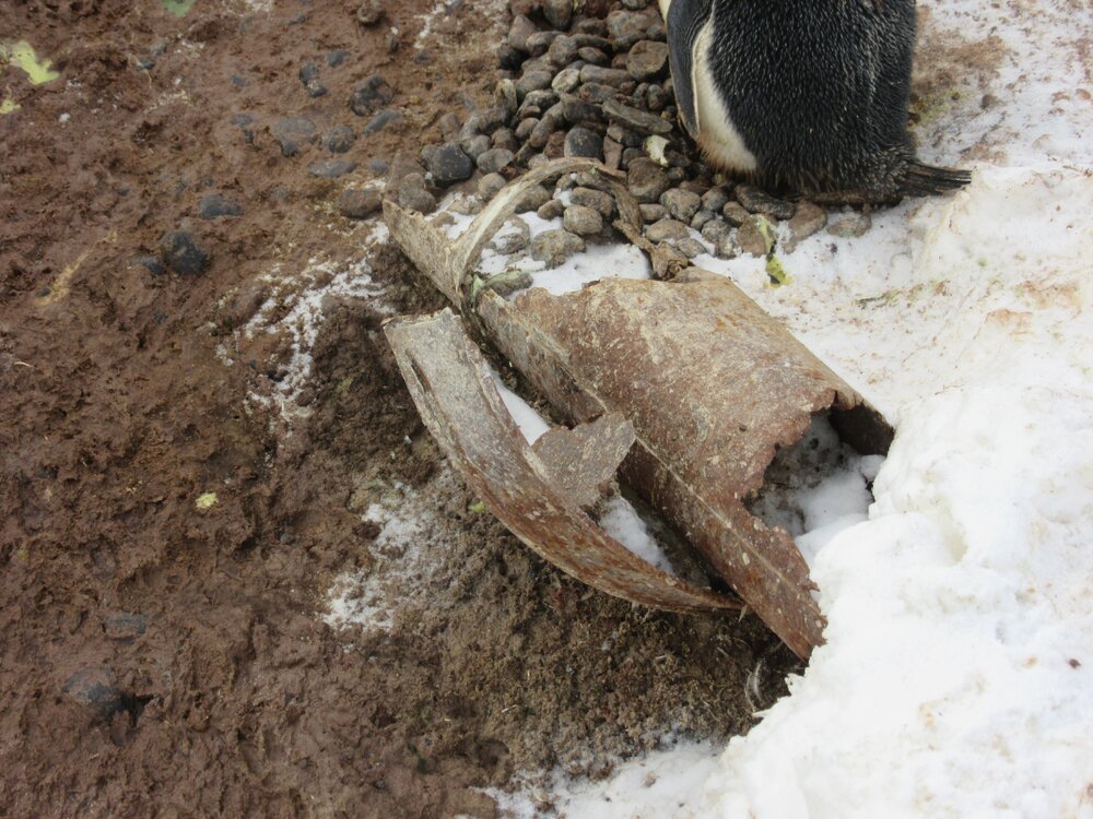 2015-16 Corroded metal artefact, Scott's Northern Party hut