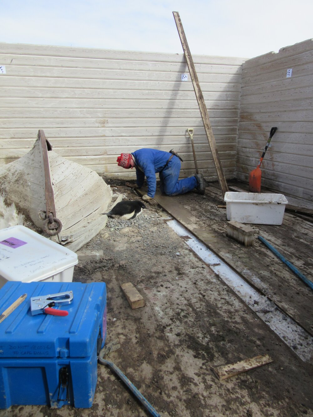 2015-16 Torbj&Atilde;&cedil;ern Prytz working on floor boards