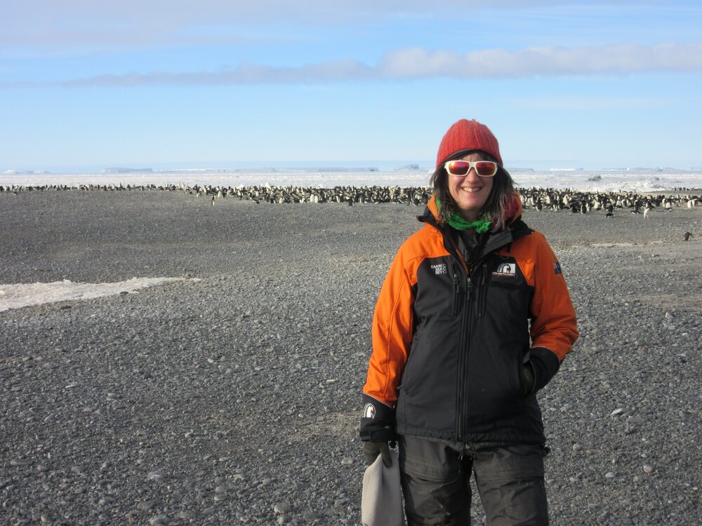 2015-16 Project Manager-Artefacts Lizzie Meek