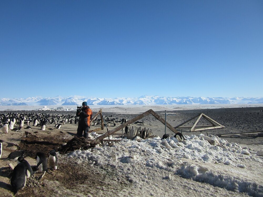 2015-16 Tom Edvindsen filming (001)