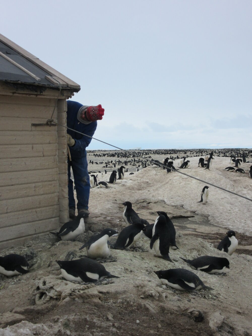 2015-16 Torbj&Atilde;&cedil;ern Prytz working on Borchgrevink's hut