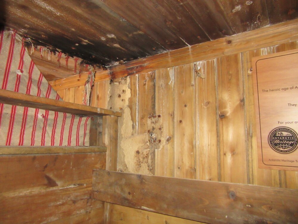 2015-16 Schedule future repairs, paper wall linings, Cape Adare (010)
