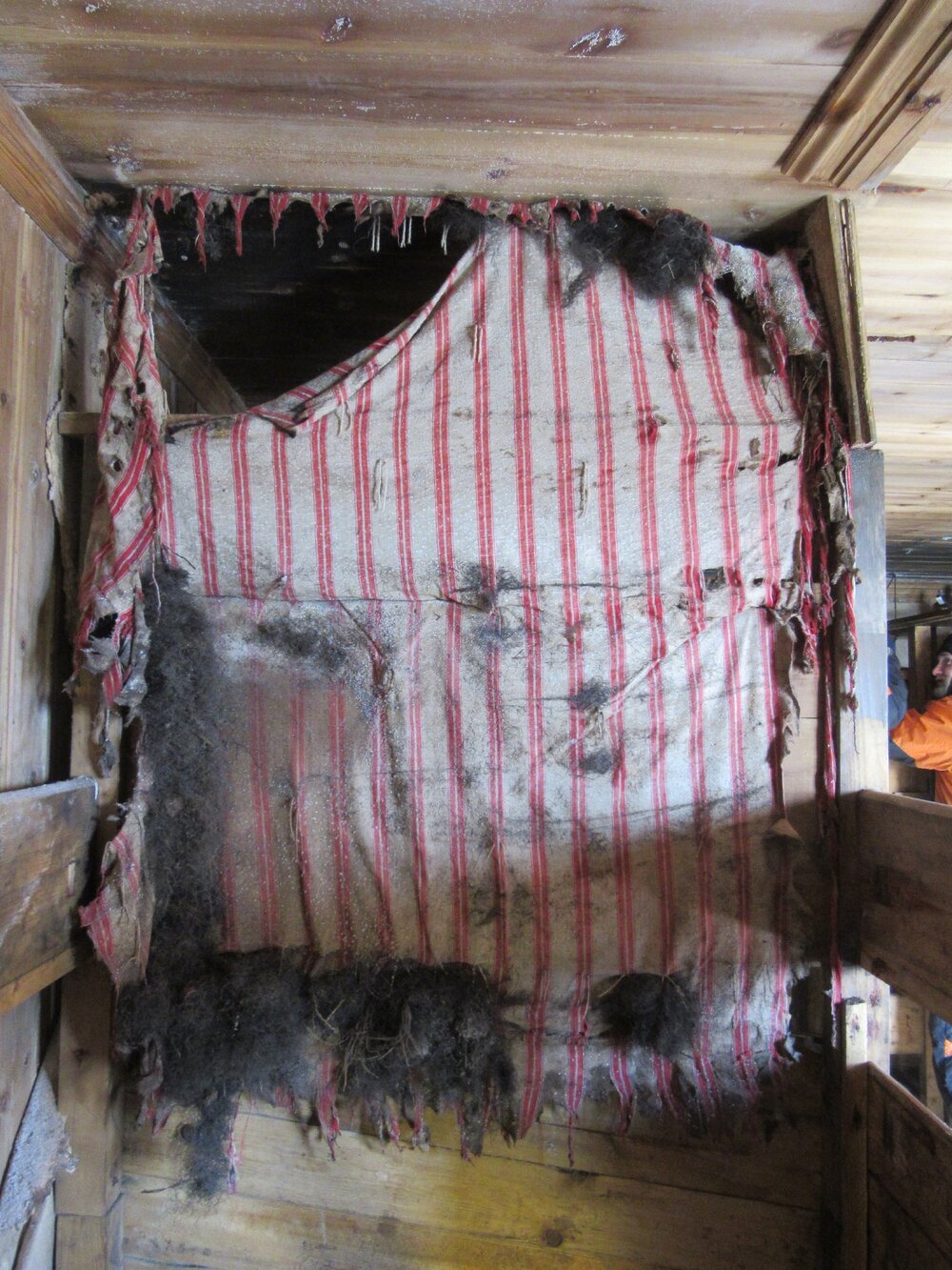 2015-16 Schedule future repairs, textile wall linings, Cape Adare (007)