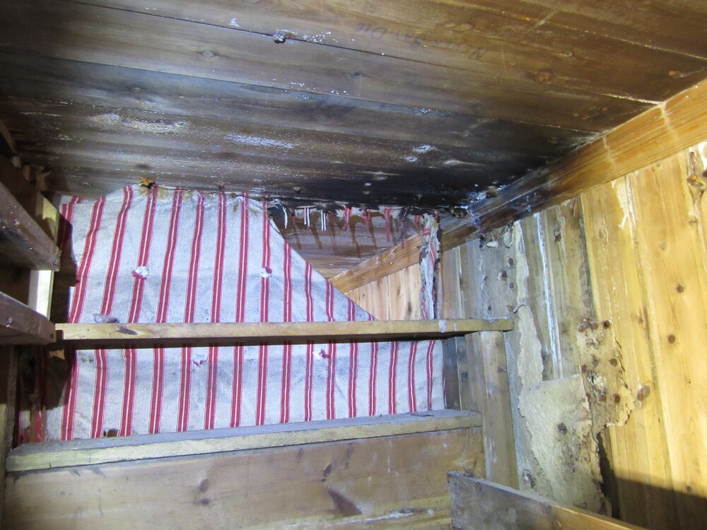2015-16 Location image - Colbeck's bunk, Borchgrevink's hut (001)