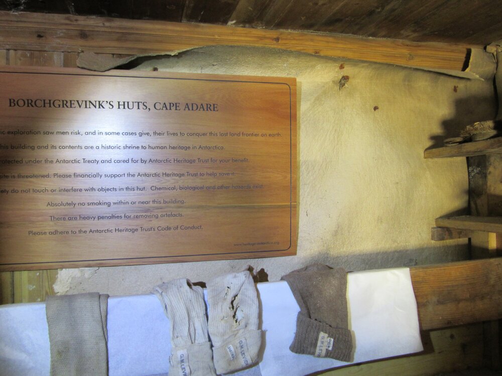 2015-16 Location image - Colbeck's bunk, Borchgrevink's hut (006)