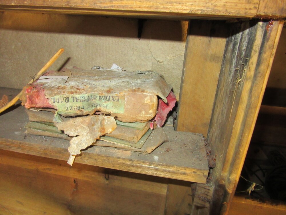 2015-16 Location image - Colbeck's bunk, Borchgrevink's hut (045)