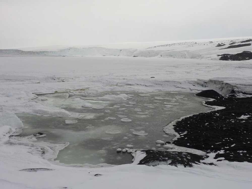 2010-11 Pancake ice at Cape Evans
