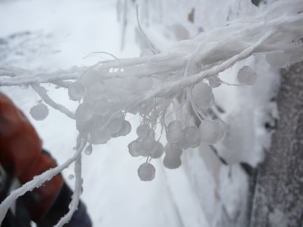 2009-10 Ice formed on rope at Cape Royds field camp