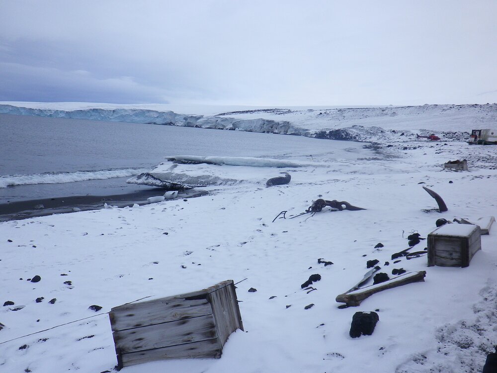 2014 Artefacts North of Scott's 'Terra Nova' hut, Cape Evans