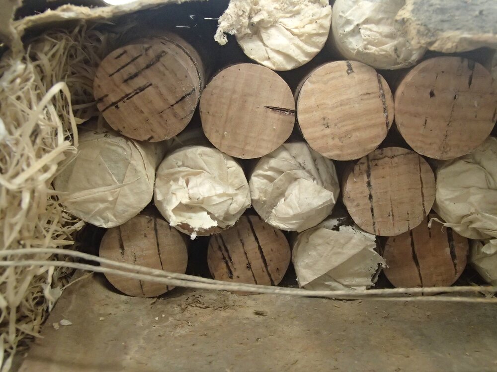 2014 Scott's 'Terra Nova' hut interior, stored test tubes, Biology area