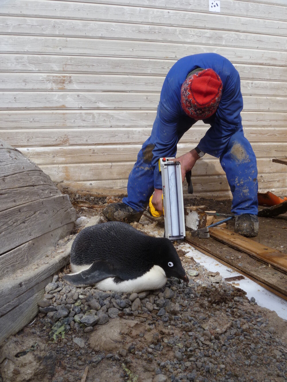 2015-16 Torbj&Atilde;&cedil;ern Prytz working on floor (002)