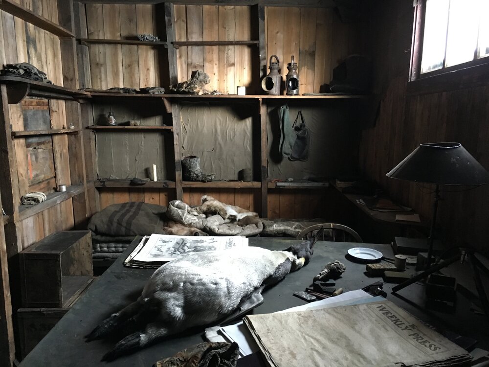 2015-16 Scott's 'Terra Nova' hut inspection, interior (009)