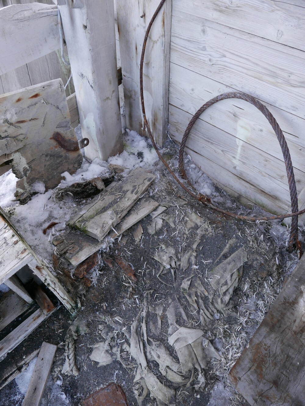 2018-19 Latrine outside Shackleton's 'Nimrod' hut at Cape Royds